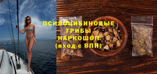 прущие грибы Абаза