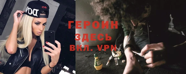 прущие грибы Абаза