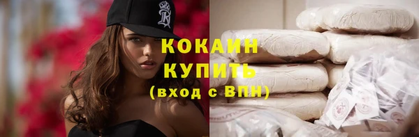 прущие грибы Абаза