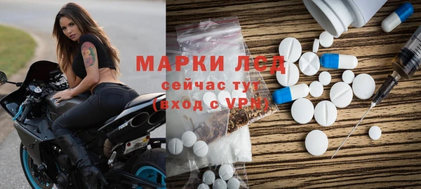 прущие грибы Абаза