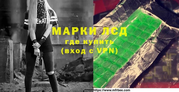 прущие грибы Абаза