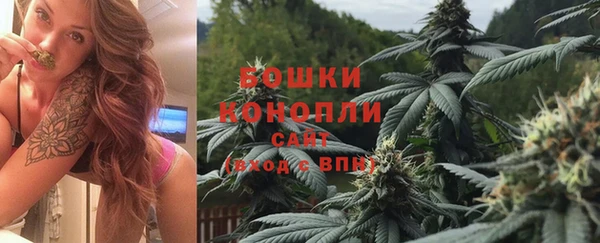 прущие грибы Абаза