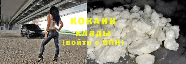прущие грибы Абаза
