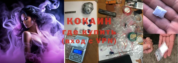 прущие грибы Абаза